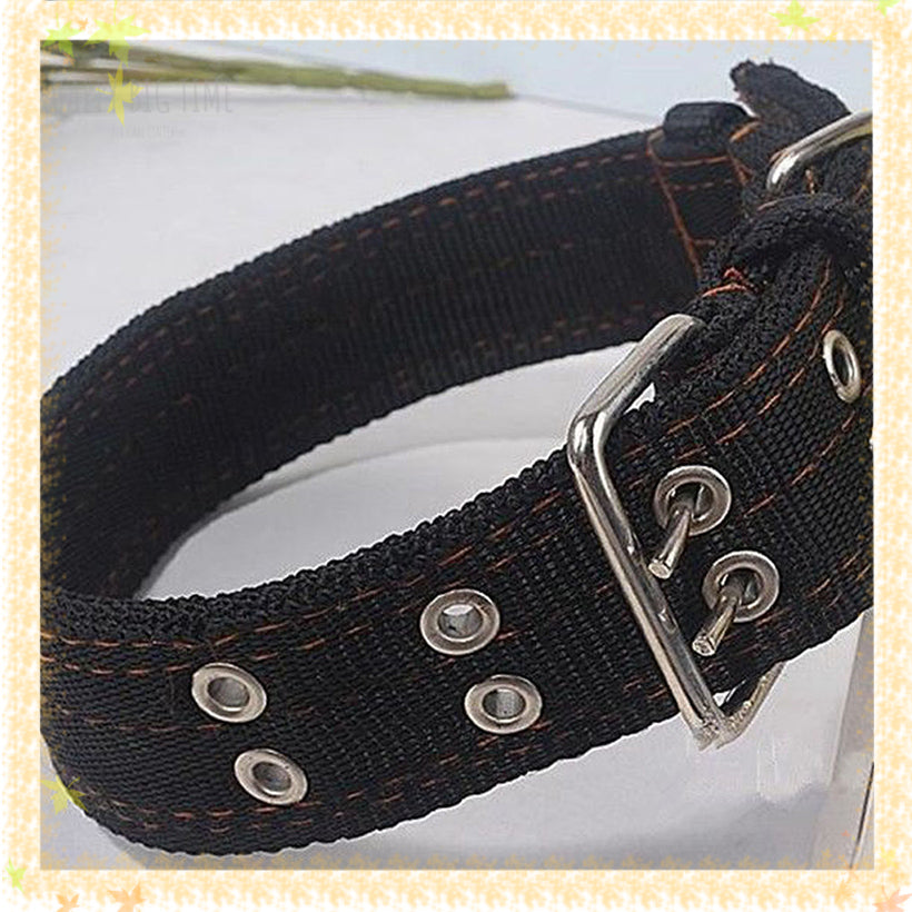 Adjustable Exquisite Pet Dog Leather Collar Firm Dog Strap for Middle-large Dog Pet Supplies