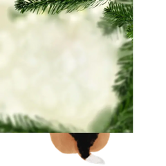 5eab9b4346c16.png