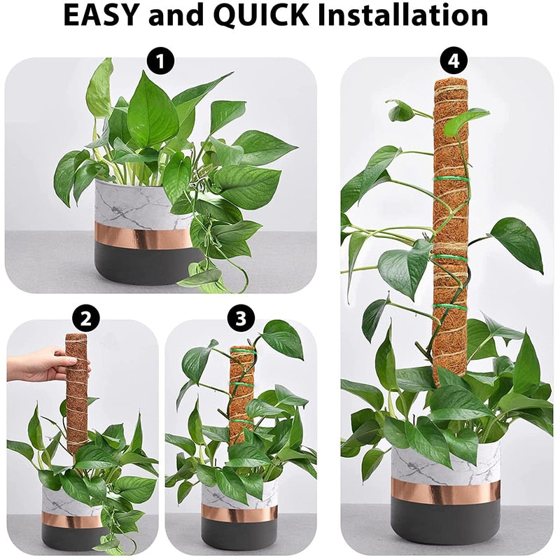 Plant Cages Supports Reusable Plant Climbing Stand Durable Flower Plants Support for Balcony Garden Courtyard Easy to Use 1PC