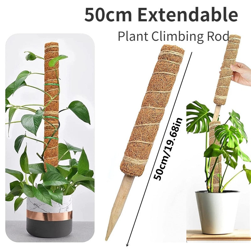 Plant Cages Supports Reusable Plant Climbing Stand Durable Flower Plants Support for Balcony Garden Courtyard Easy to Use 1PC