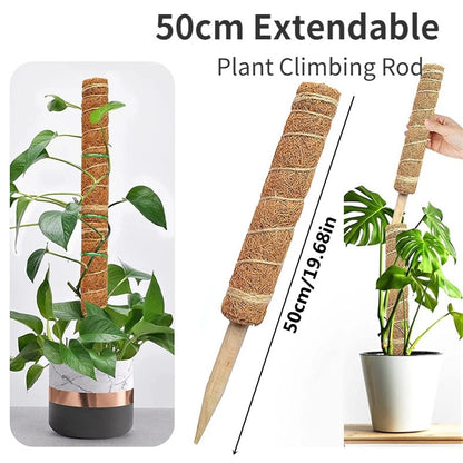 Plant Cages Supports Reusable Plant Climbing Stand Durable Flower Plants Support for Balcony Garden Courtyard Easy to Use 1PC