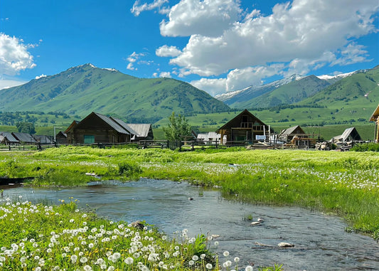个性化宝宝照片装饰品——送给孙辈的圣诞礼物