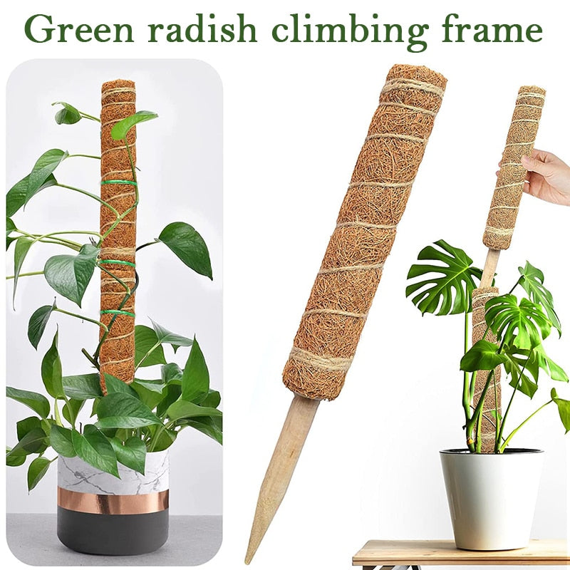 Plant Cages Supports Reusable Plant Climbing Stand Durable Flower Plants Support for Balcony Garden Courtyard Easy to Use 1PC